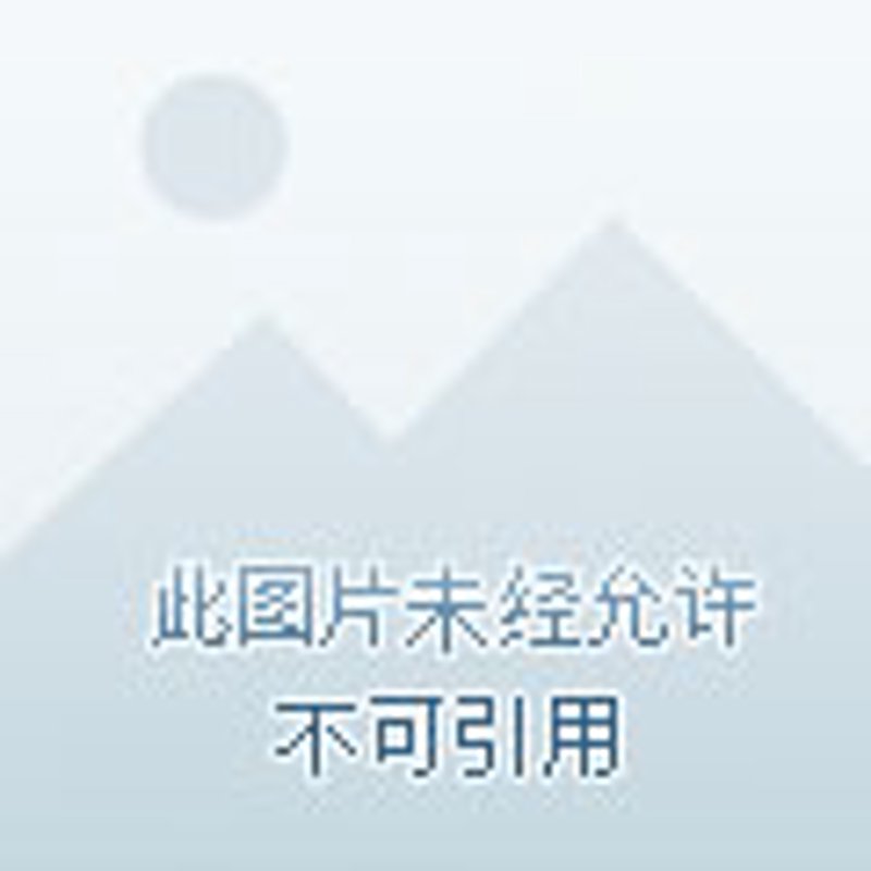 客户画像分析