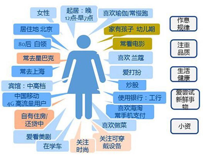 私域流量管理：打造企业专属流量池